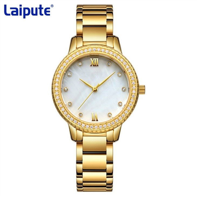 Schildkröten-Diamond Watch der hinteren Schnallen-Edelstahl-Armband-Uhr-Quarzwerk-Frauen