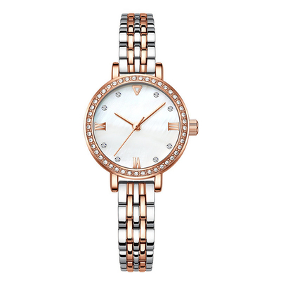 Luxus-Diamond Watches Stainless Steel Strap Legierungs-Kasten Sapphire Glass Women-' S
