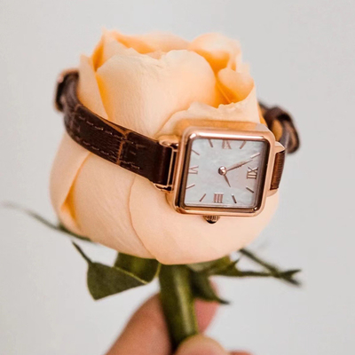 Die quadratische Mode Roman Watch Slim Belt der kleinen ledernen Uhr-Frauen Browns